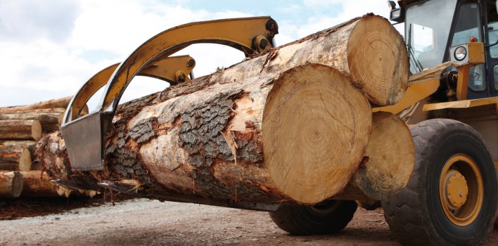 TRANSIMEX étend ses activités à la filière bois